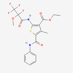 molecular formula C19H18F4N2O5S B4293058 ethyl 5-(anilinocarbonyl)-4-methyl-2-[(2,3,3,3-tetrafluoro-2-methoxypropanoyl)amino]thiophene-3-carboxylate 