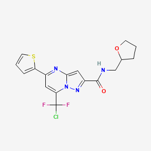 molecular formula C17H15ClF2N4O2S B4296665 7-[chloro(difluoro)methyl]-N-(tetrahydrofuran-2-ylmethyl)-5-(2-thienyl)pyrazolo[1,5-a]pyrimidine-2-carboxamide 