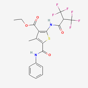 molecular formula C19H16F6N2O4S B4297802 ethyl 5-(anilinocarbonyl)-4-methyl-2-{[3,3,3-trifluoro-2-(trifluoromethyl)propanoyl]amino}thiophene-3-carboxylate 