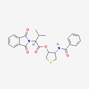molecular formula C24H24N2O5S B4298059 4-(benzoylamino)tetrahydro-3-thienyl 2-(1,3-dioxo-1,3-dihydro-2H-isoindol-2-yl)-3-methylbutanoate 