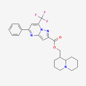 molecular formula C24H25F3N4O2 B4298537 octahydro-2H-quinolizin-1-ylmethyl 5-phenyl-7-(trifluoromethyl)pyrazolo[1,5-a]pyrimidine-2-carboxylate 