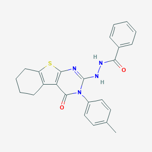molecular formula C24H22N4O2S B430191 N'-[3-(4-methylphenyl)-4-oxo-3,4,5,6,7,8-hexahydro[1]benzothieno[2,3-d]pyrimidin-2-yl]benzohydrazide 