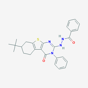 molecular formula C27H28N4O2S B430210 N'-(7-tert-butyl-4-oxo-3-phenyl-5,6,7,8-tetrahydro-[1]benzothiolo[2,3-d]pyrimidin-2-yl)benzohydrazide CAS No. 351338-56-2