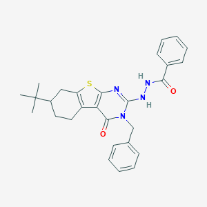 molecular formula C28H30N4O2S B430213 N'-(3-benzyl-7-tert-butyl-4-oxo-5,6,7,8-tetrahydro-[1]benzothiolo[2,3-d]pyrimidin-2-yl)benzohydrazide CAS No. 374095-99-5