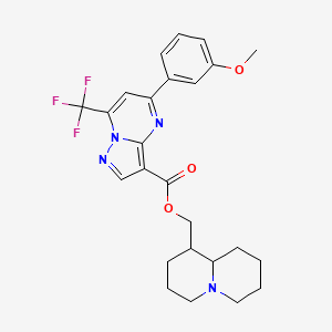 molecular formula C25H27F3N4O3 B4304927 octahydro-2H-quinolizin-1-ylmethyl 5-(3-methoxyphenyl)-7-(trifluoromethyl)pyrazolo[1,5-a]pyrimidine-3-carboxylate 