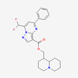 molecular formula C24H26F2N4O2 B4306881 octahydro-2H-quinolizin-1-ylmethyl 7-(difluoromethyl)-5-phenylpyrazolo[1,5-a]pyrimidine-3-carboxylate 
