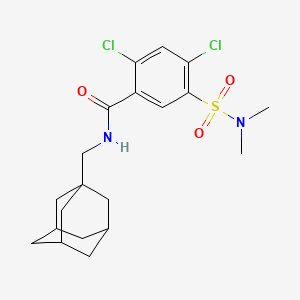 N-(ADAMANTAN-1-YLMETHYL)-2,4-DICHLORO-5-(DIMETHYLSULFAMOYL)BENZAMIDE