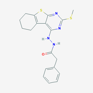 molecular formula C19H20N4OS2 B430848 N'-[2-(methylsulfanyl)-5,6,7,8-tetrahydro[1]benzothieno[2,3-d]pyrimidin-4-yl]-2-phenylacetohydrazide 