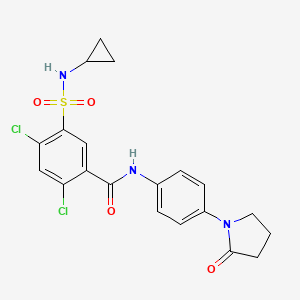 2,4-DICHLORO-5-[(CYCLOPROPYLAMINO)SULFONYL]-N~1~-[4-(2-OXO-1-PYRROLIDINYL)PHENYL]BENZAMIDE