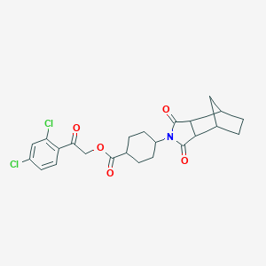 B431832 2-(2,4-dichlorophenyl)-2-oxoethyl 4-(1,3-dioxooctahydro-2H-4,7-methanoisoindol-2-yl)cyclohexanecarboxylate CAS No. 1005112-02-6