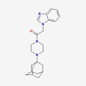 molecular formula C23H30N4O B4320420 1-{2-[4-(1-adamantyl)piperazin-1-yl]-2-oxoethyl}-1H-benzimidazole 