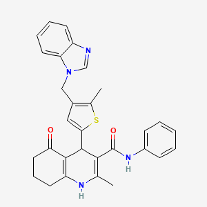 molecular formula C30H28N4O2S B4326444 4-[4-(1H-benzimidazol-1-ylmethyl)-5-methyl-2-thienyl]-2-methyl-5-oxo-N-phenyl-1,4,5,6,7,8-hexahydroquinoline-3-carboxamide 