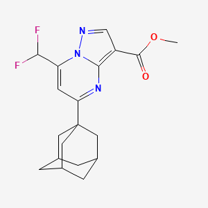 molecular formula C19H21F2N3O2 B4335786 methyl 5-(1-adamantyl)-7-(difluoromethyl)pyrazolo[1,5-a]pyrimidine-3-carboxylate 