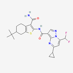 molecular formula C24H27F2N5O2S B4335843 N-[3-(AMINOCARBONYL)-6-(TERT-BUTYL)-4,5,6,7-TETRAHYDRO-1-BENZOTHIOPHEN-2-YL]-5-CYCLOPROPYL-7-(DIFLUOROMETHYL)PYRAZOLO[1,5-A]PYRIMIDINE-3-CARBOXAMIDE 