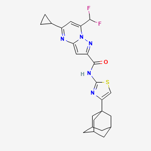 molecular formula C24H25F2N5OS B4336182 N-[4-(1-adamantyl)-1,3-thiazol-2-yl]-5-cyclopropyl-7-(difluoromethyl)pyrazolo[1,5-a]pyrimidine-2-carboxamide 