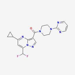 molecular formula C19H19F2N7O B4336221 [5-CYCLOPROPYL-7-(DIFLUOROMETHYL)PYRAZOLO[1,5-A]PYRIMIDIN-3-YL][4-(2-PYRIMIDINYL)PIPERAZINO]METHANONE 