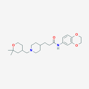 N-(2,3-dihydro-1,4-benzodioxin-6-yl)-3-{1-[(2,2-dimethyltetrahydro-2H-pyran-4-yl)methyl]-4-piperidinyl}propanamide