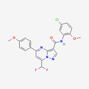 N-(5-chloro-2-methoxyphenyl)-7-(difluoromethyl)-5-(4-methoxyphenyl)pyrazolo[1,5-a]pyrimidine-3-carboxamide