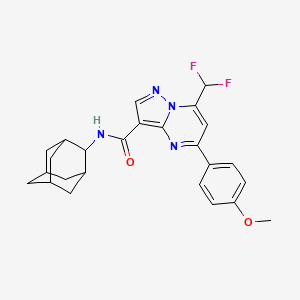 molecular formula C25H26F2N4O2 B4341942 N-(ADAMANTAN-2-YL)-7-(DIFLUOROMETHYL)-5-(4-METHOXYPHENYL)PYRAZOLO[1,5-A]PYRIMIDINE-3-CARBOXAMIDE 