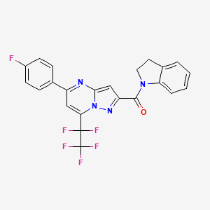 2,3-DIHYDRO-1H-INDOL-1-YL[5-(4-FLUOROPHENYL)-7-(1,1,2,2,2-PENTAFLUOROETHYL)PYRAZOLO[1,5-A]PYRIMIDIN-2-YL]METHANONE