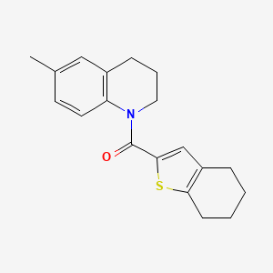 [6-METHYL-3,4-DIHYDRO-1(2H)-QUINOLINYL](4,5,6,7-TETRAHYDRO-1-BENZOTHIOPHEN-2-YL)METHANONE