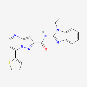 molecular formula C20H16N6OS B4355111 N-(1-ethyl-1H-benzimidazol-2-yl)-7-(2-thienyl)pyrazolo[1,5-a]pyrimidine-2-carboxamide 