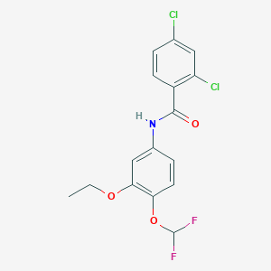 molecular formula C16H13Cl2F2NO3 B4356537 2,4-dichloro-N-[4-(difluoromethoxy)-3-ethoxyphenyl]benzamide 