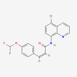 molecular formula C19H13BrF2N2O2 B4362553 (Z)-N-(5-BROMO-8-QUINOLYL)-3-[4-(DIFLUOROMETHOXY)PHENYL]-2-PROPENAMIDE 