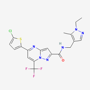 molecular formula C19H16ClF3N6OS B4367004 5-(5-chloro-2-thienyl)-N-[(1-ethyl-5-methyl-1H-pyrazol-4-yl)methyl]-7-(trifluoromethyl)pyrazolo[1,5-a]pyrimidine-2-carboxamide 