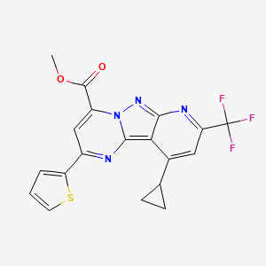 molecular formula C19H13F3N4O2S B4369840 methyl 10-cyclopropyl-2-(2-thienyl)-8-(trifluoromethyl)pyrido[2',3':3,4]pyrazolo[1,5-a]pyrimidine-4-carboxylate 