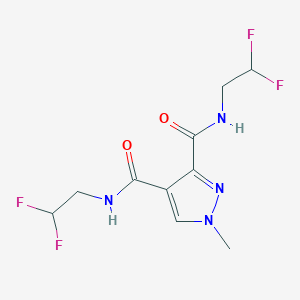 molecular formula C10H12F4N4O2 B4374096 N,N'-bis(2,2-difluoroethyl)-1-methyl-1H-pyrazole-3,4-dicarboxamide 