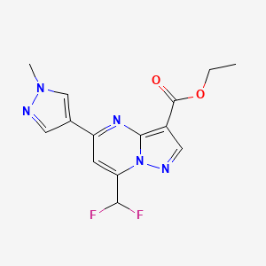 molecular formula C14H13F2N5O2 B4374422 ethyl 7-(difluoromethyl)-5-(1-methyl-1H-pyrazol-4-yl)pyrazolo[1,5-a]pyrimidine-3-carboxylate 