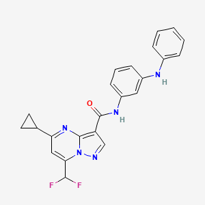 N-(3-anilinophenyl)-5-cyclopropyl-7-(difluoromethyl)pyrazolo[1,5-a]pyrimidine-3-carboxamide