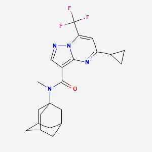 molecular formula C22H25F3N4O B4375206 N-(1-adamantyl)-5-cyclopropyl-N-methyl-7-(trifluoromethyl)pyrazolo[1,5-a]pyrimidine-3-carboxamide 