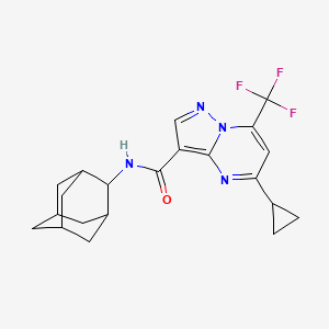 molecular formula C21H23F3N4O B4375217 N-(2-adamantyl)-5-cyclopropyl-7-(trifluoromethyl)pyrazolo[1,5-a]pyrimidine-3-carboxamide 