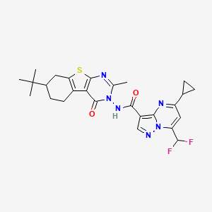 molecular formula C26H28F2N6O2S B4376074 N~3~-[7-(TERT-BUTYL)-2-METHYL-4-OXO-5,6,7,8-TETRAHYDRO[1]BENZOTHIENO[2,3-D]PYRIMIDIN-3(4H)-YL]-5-CYCLOPROPYL-7-(DIFLUOROMETHYL)PYRAZOLO[1,5-A]PYRIMIDINE-3-CARBOXAMIDE 