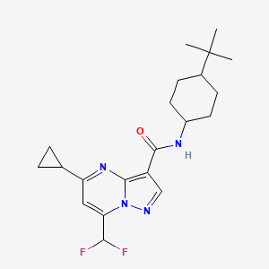 molecular formula C21H28F2N4O B4376095 N-[4-(TERT-BUTYL)CYCLOHEXYL]-5-CYCLOPROPYL-7-(DIFLUOROMETHYL)PYRAZOLO[1,5-A]PYRIMIDINE-3-CARBOXAMIDE 