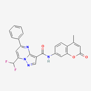 molecular formula C24H16F2N4O3 B4378863 7-(difluoromethyl)-N-(4-methyl-2-oxo-2H-chromen-7-yl)-5-phenylpyrazolo[1,5-a]pyrimidine-3-carboxamide 