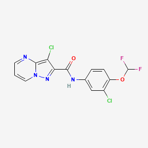 molecular formula C14H8Cl2F2N4O2 B4381667 3-chloro-N-[3-chloro-4-(difluoromethoxy)phenyl]pyrazolo[1,5-a]pyrimidine-2-carboxamide 