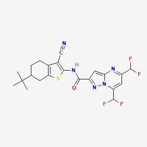 molecular formula C22H21F4N5OS B4382626 N~2~-[6-(TERT-BUTYL)-3-CYANO-4,5,6,7-TETRAHYDRO-1-BENZOTHIOPHEN-2-YL]-5,7-BIS(DIFLUOROMETHYL)PYRAZOLO[1,5-A]PYRIMIDINE-2-CARBOXAMIDE 