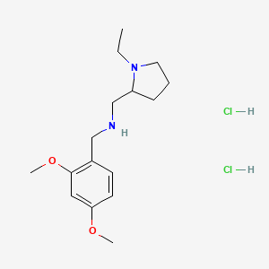(2,4-dimethoxybenzyl)[(1-ethyl-2-pyrrolidinyl)methyl]amine dihydrochloride