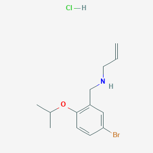 molecular formula C13H19BrClNO B4389839 N-(5-bromo-2-isopropoxybenzyl)-2-propen-1-amine hydrochloride 