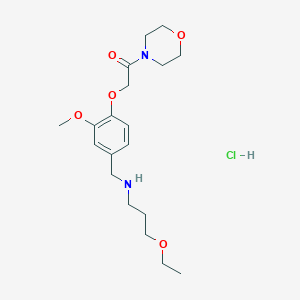 molecular formula C19H31ClN2O5 B4390047 (3-ethoxypropyl){3-methoxy-4-[2-(4-morpholinyl)-2-oxoethoxy]benzyl}amine hydrochloride 