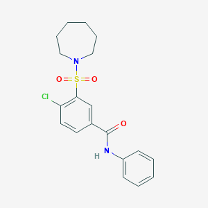 molecular formula C19H21ClN2O3S B4391828 3-(1-azepanylsulfonyl)-4-chloro-N-phenylbenzamide 