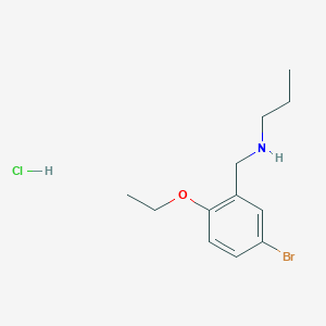 molecular formula C12H19BrClNO B4395616 N-(5-bromo-2-ethoxybenzyl)-1-propanamine hydrochloride 