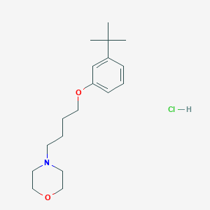 4-[4-(3-Tert-butylphenoxy)butyl]morpholine;hydrochloride