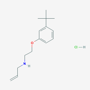 molecular formula C15H24ClNO B4399213 N-[2-(3-tert-butylphenoxy)ethyl]prop-2-en-1-amine;hydrochloride 