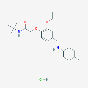 N-tert-butyl-2-[2-ethoxy-4-[[(4-methylcyclohexyl)amino]methyl]phenoxy]acetamide;hydrochloride