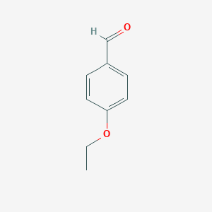molecular formula C9H10O2 B043997 4-Ethoxybenzaldehyde CAS No. 10031-82-0