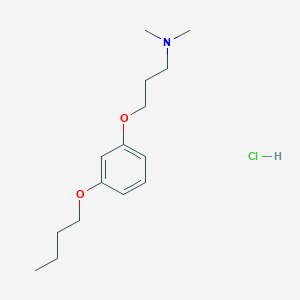 3-(3-butoxyphenoxy)-N,N-dimethylpropan-1-amine;hydrochloride